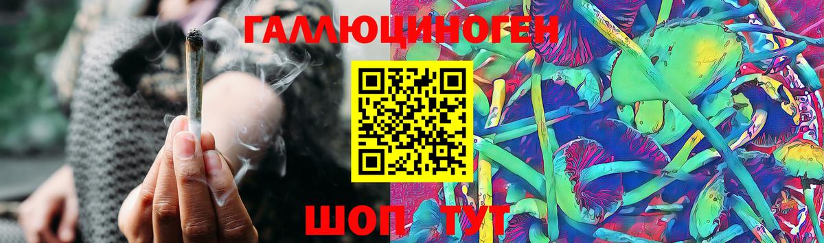 Псилоцибиновые грибы GOLDEN TEACHER Лабинск